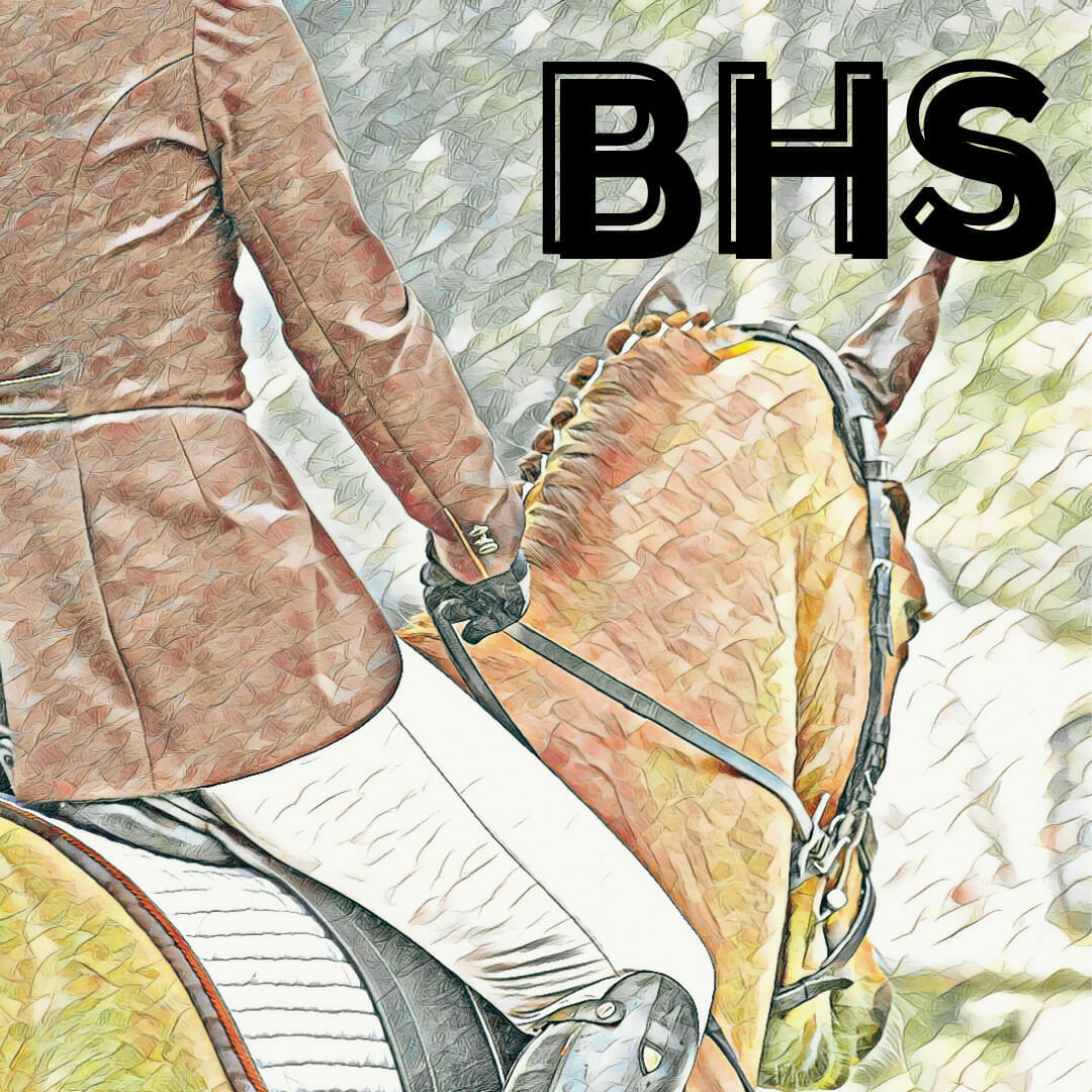 Stylised picture of rider and horse in BHS exam. Rider in hacking jacket and long boots.